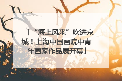 “海上风来”吹进京城！上海中国画院中青年画家作品展开幕