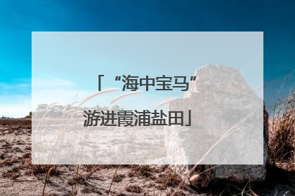 “海中宝马”游进霞浦盐田