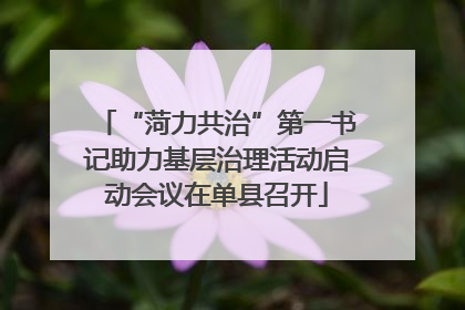 “菏力共治”第一书记助力基层治理活动启动会议在单县召开