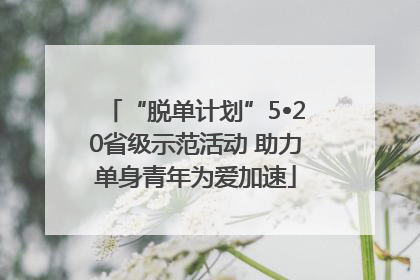 “脱单计划”5•20省级示范活动 助力单身青年为爱加速