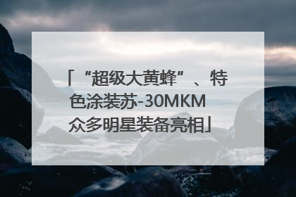 “超级大黄蜂”、特色涂装苏-30MKM 众多明星装备亮相