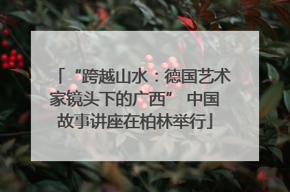 “跨越山水：德国艺术家镜头下的广西” 中国故事讲座在柏林举行