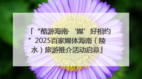 “酷游海南·‘媒’好相约”2025百家媒体海南（陵水）旅游推介活动启幕