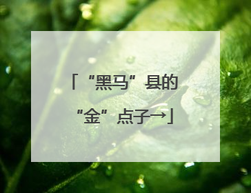 “黑马”县的“金”点子→