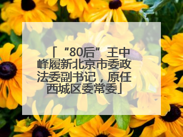 “80后”王中峰履新北京市委政法委副书记，原任西城区委常委