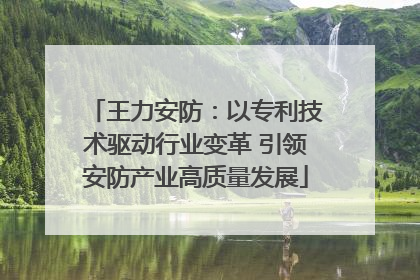 王力安防：以专利技术驱动行业变革 引领安防产业高质量发展