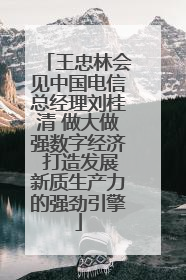 王忠林会见中国电信总经理刘桂清 做大做强数字经济 打造发展新质生产力的强劲引擎