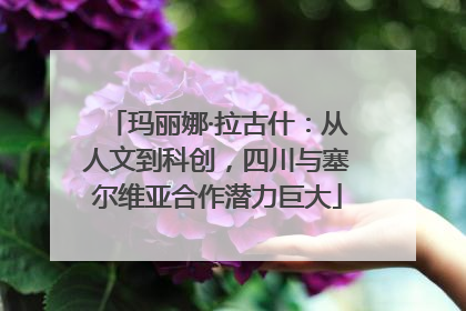 玛丽娜·拉古什：从人文到科创，四川与塞尔维亚合作潜力巨大