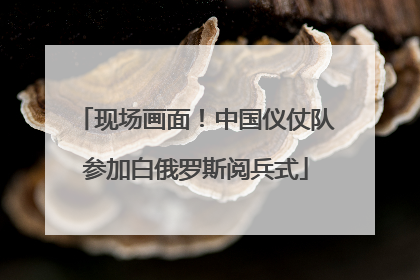 现场画面！中国仪仗队参加白俄罗斯阅兵式