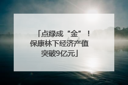 点绿成“金”！保康林下经济产值突破9亿元