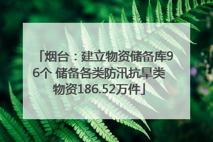 烟台：建立物资储备库96个 储备各类防汛抗旱类物资186.52万件