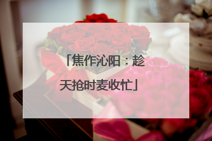 焦作沁阳：趁天抢时麦收忙
