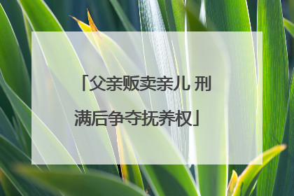 父亲贩卖亲儿 刑满后争夺抚养权