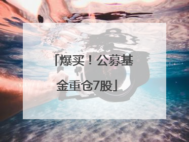 爆买！公募基金重仓7股