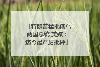 特朗普猛批俄乌两国总统 美媒：迄今最严厉批评