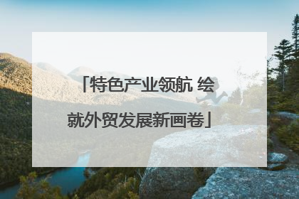 特色产业领航 绘就外贸发展新画卷
