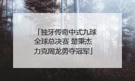 独牙传奇中式九球全球总决赛 楚秉杰力克周龙勇夺冠军