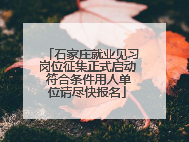 石家庄就业见习岗位征集正式启动 符合条件用人单位请尽快报名
