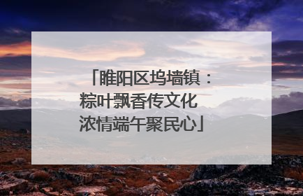 睢阳区坞墙镇：粽叶飘香传文化 浓情端午聚民心