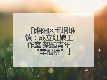 睢阳区毛堌堆镇：成立红娘工作室 架起青年“幸福桥”