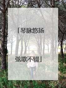 琴脉悠扬 弦歌不辍
