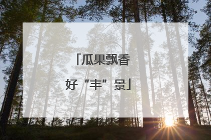 瓜果飘香 好“丰”景