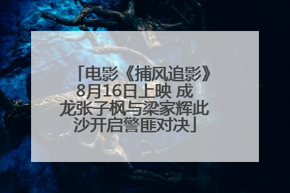 电影《捕风追影》8月16日上映 成龙张子枫与梁家辉此沙开启警匪对决