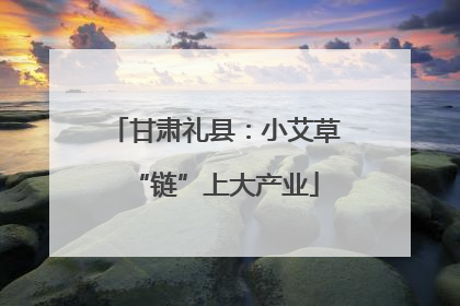 甘肃礼县：小艾草“链”上大产业