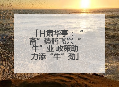 甘肃华亭：“畜”势腾飞兴“牛”业 政策助力添“牛”劲