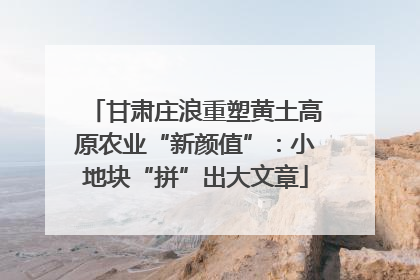 甘肃庄浪重塑黄土高原农业“新颜值”：小地块“拼”出大文章