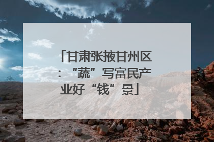 甘肃张掖甘州区：“蔬”写富民产业好“钱”景