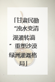 甘肃民勤“浊水变清 漫灌转滴”重塑沙漠绿洲灌溉格局