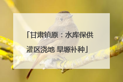 甘肃镇原：水库保供 灌区浇地 旱塬补种