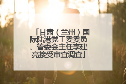 甘肃（兰州）国际陆港党工委委员、管委会主任李建亮接受审查调查