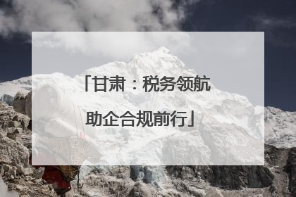 甘肃：税务领航 助企合规前行