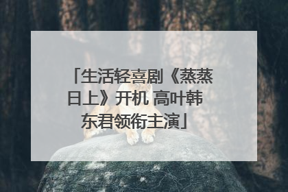 生活轻喜剧《蒸蒸日上》开机 高叶韩东君领衔主演