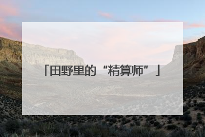田野里的“精算师”