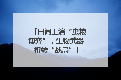 田间上演“虫粮博弈”，生物武器扭转“战局”