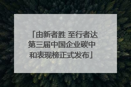 由新者胜 至行者达 第三届中国企业碳中和表现榜正式发布