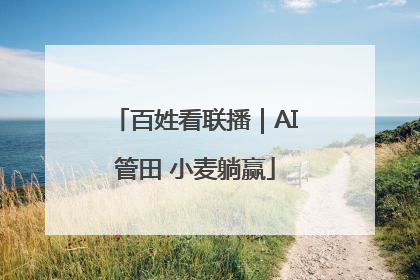 百姓看联播｜AI管田 小麦躺赢