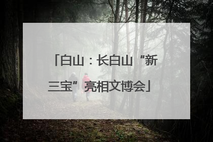白山：长白山“新三宝”亮相文博会