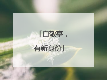 白敬亭，有新身份