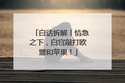 白话拆解丨情急之下，白宫敲打欧盟和苹果！