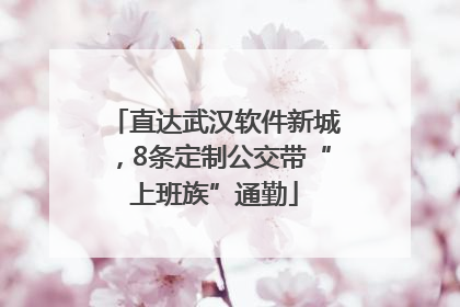 直达武汉软件新城，8条定制公交带“上班族”通勤