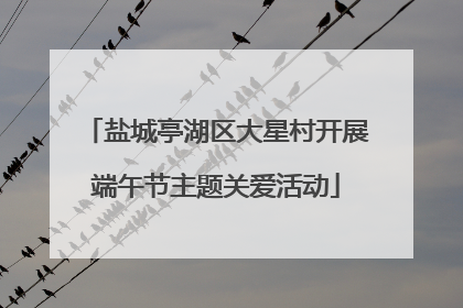 盐城亭湖区大星村开展端午节主题关爱活动