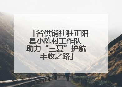 省供销社驻正阳县小陈村工作队 助力“三夏”护航丰收之路