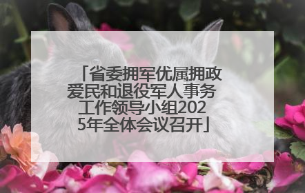 省委拥军优属拥政爱民和退役军人事务工作领导小组2025年全体会议召开
