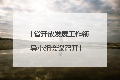 省开放发展工作领导小组会议召开