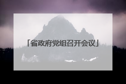 省政府党组召开会议