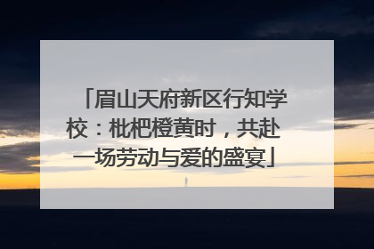 眉山天府新区行知学校：枇杷橙黄时，共赴一场劳动与爱的盛宴